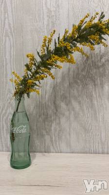 ���ܥ���Х��顦�����CLUB HEARTS(����֥ϡ���) �ޤʤ�(23)��2��13���̥�֥����ֺ���Τ��֡�