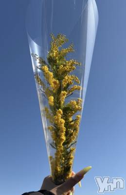 ���ܥ���Х��顦�����CLUB HEARTS(����֥ϡ���) �ޤʤ�(23)��2��14���̥�֥�����d�ݥ���ȡ�