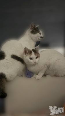 ���ܥ���Х��顦�����CLUB HEARTS(����֥ϡ���) �ޤʤ�(23)��2��22���̥�֥����֤ˤ��ˤ��ˤ���