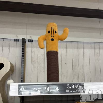 ���ܥ���Х��顦�����CLUB HEARTS(����֥ϡ���) �ޤʤ�(23)��3��9���̥�֥�����̥��Ū��