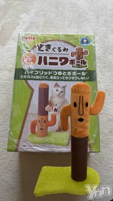 ���ܥ���Х��顦�����CLUB HEARTS(����֥ϡ���) �ޤʤ�(23)��3��12���̥�֥�������ä���ä���|��|����