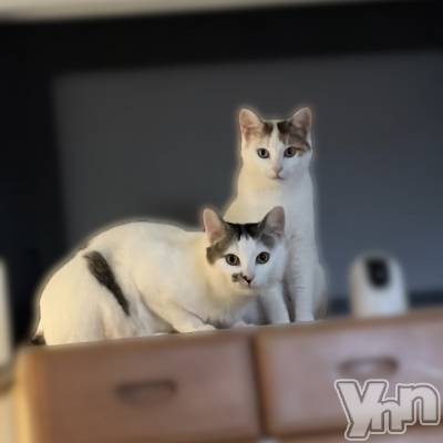 ���ܥ���Х��顦�����CLUB HEARTS(����֥ϡ���) �ޤʤ�(23)��3��29���̥�֥�����Ǻ�ߡ�