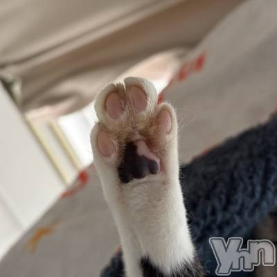 ���ܥ���Х��顦�����CLUB HEARTS(����֥ϡ���) �ޤʤ�(23)��4��9���̥�֥�����🐾🐾��