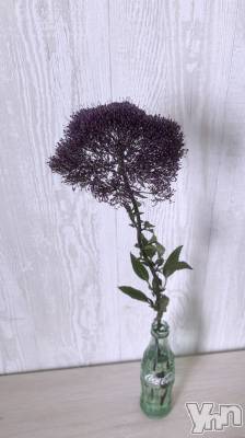 ���ܥ���Х��顦�����CLUB HEARTS(����֥ϡ���) �ޤʤ�(23)��4��19���̥�֥����ֺ���Τ��֡�