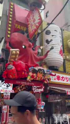 ���ߤ�ι�Ե�#����Ū�����볹