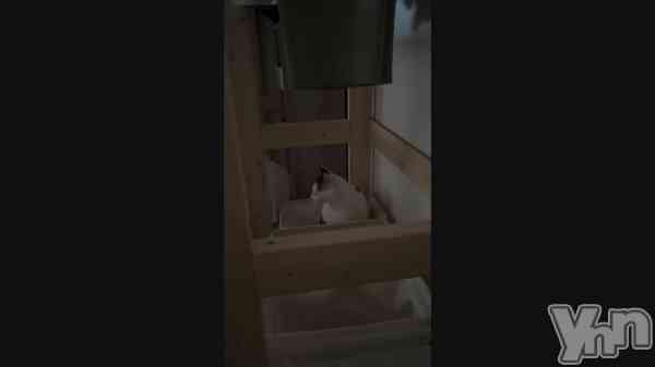 ��sha🐱��