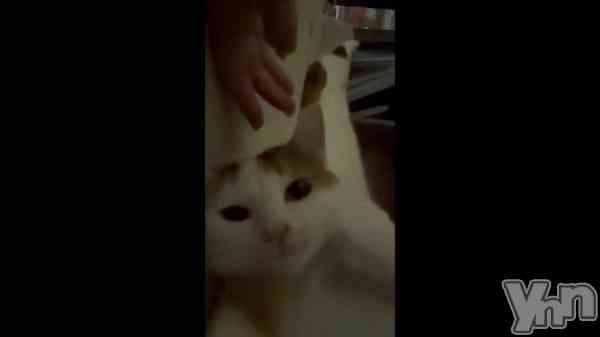 ��cha🐈��