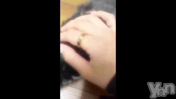 ��🐈🐾��