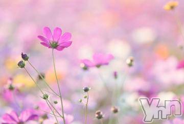 甲府ソープオレンジハウス めりー(25)の10月3日写メブログ「おはようございます」