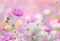 甲府ソープオレンジハウス めりー(25)の10月3日写メブログ「おはようございます」