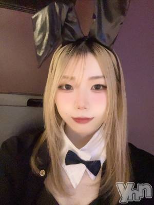 ���ܥ��ʥå��������륺�С�Girl's Bar All-in(�����륤��)(�����륺�С������륤��) �ߤ�(21)��4��25���̥�֥����ֽжС���