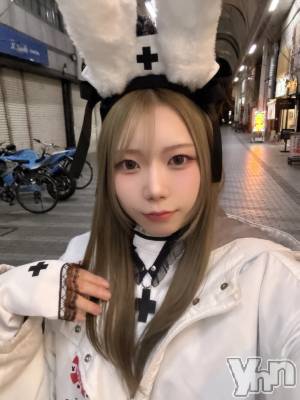 ���ܥ��ʥå��������륺�С�Girl's Bar All-in(�����륤��)(�����륺�С������륤��) �ߤ�(21)��11��28���̥�֥����ֽжС���