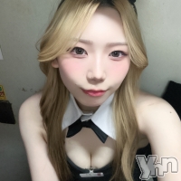 ���ܥ��ʥå��������륺�С� Girl's Bar All-in(�����륤��)(�����륺�С������륤��) �ߤ���6��4���̥�֥����ֽжС���