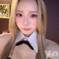 ���ܥ��ʥå��������륺�С� Girl's Bar All-in(�����륤��)(�����륺�С������륤��) �ߤ���6��5���̥�֥����ֽжС���