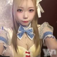 ���ܻԥ��ʥå��������륺�С� Girl's Bar All-in(�����륤��)(�����륺�С������륤��) �ߤ��β���(3����)