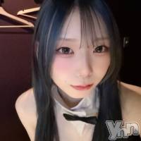 ���ܻԥ��ʥå��������륺�С� Girl's Bar All-in(�����륤��)(�����륺�С������륤��) �ߤ��β���(2����)