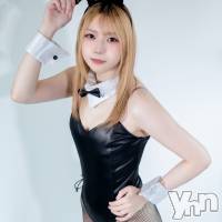 ���ܻԥ��ʥå��������륺�С� Girl's Bar All-in(�����륤��)(�����륺�С������륤��) �ߤ��β���(2����)