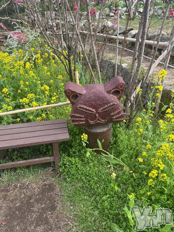 甲府ソープBARUBORA(バルボラ) あこ(22)の4月14日写メブログ「わあああ」