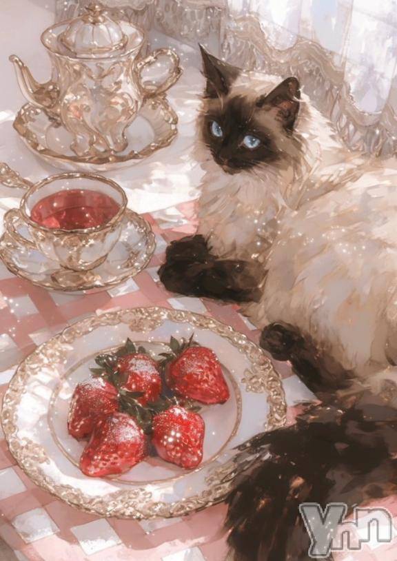 甲府ソープBARUBORA(バルボラ) あこ(22)の2月1日写メブログ「あこまして」