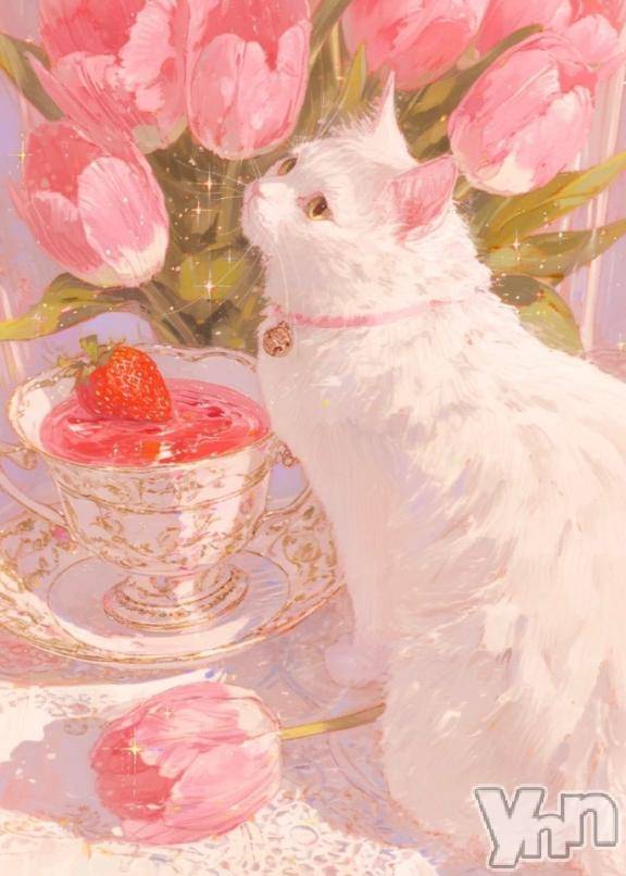 甲府ソープBARUBORA(バルボラ)あこ(22)の2025年5月18日写メブログ「すみません」