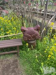 甲府ソープBARUBORA(バルボラ) あこ(22)の4月14日写メブログ「わあああ」