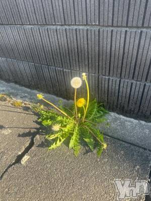 甲府ソープ BARUBORA(バルボラ) あこ(22)の9月17日写メブログ「こんばんは！」