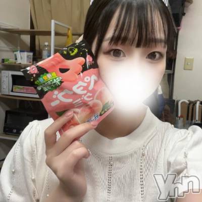 甲府ソープ オレンジハウス うに(20)の12月12日写メブログ「うにです🐨」