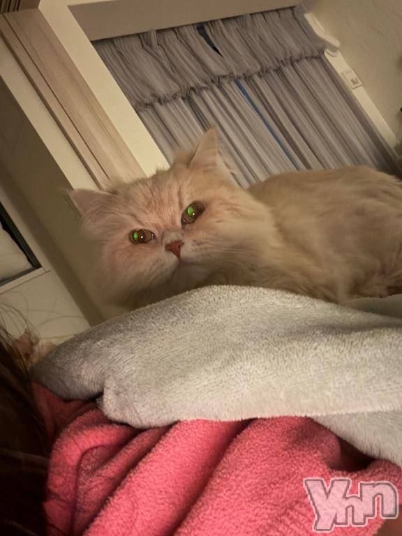 甲府ソープオレンジハウス ほむら(21)の3月21日写メブログ「ごめんなさい」