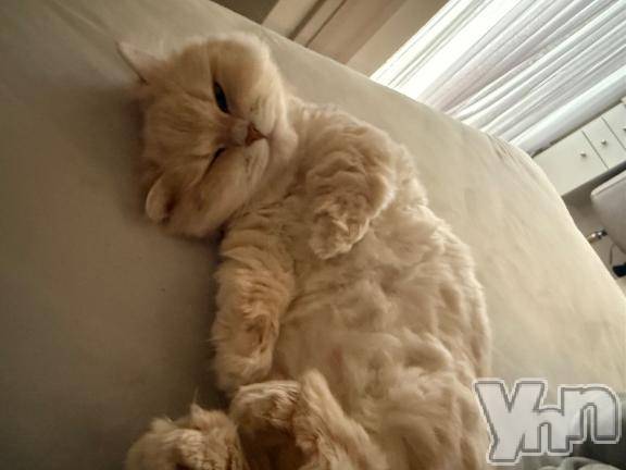 甲府ソープオレンジハウス ほむら(21)の3月21日写メブログ「すみません」