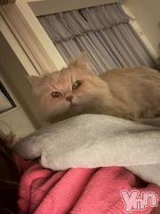 甲府ソープオレンジハウス ほむら(21)の3月21日写メブログ「ごめんなさい」