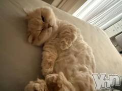 甲府ソープオレンジハウス ほむら(21)の3月21日写メブログ「すみません」