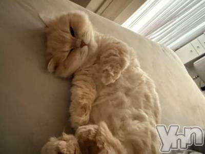 甲府ソープ オレンジハウス ほむら(21)の3月21日写メブログ「すみません」