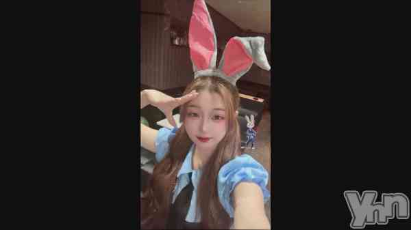 &#x1F430;&#x1A5A;&#x1F693;