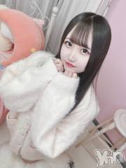 甲府ソープ石蹄(セキテイ) はにー(24)の11月1日写メブログ「3日目♡」