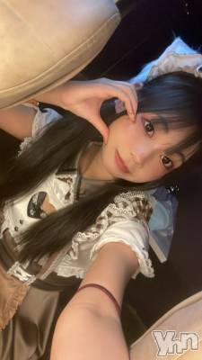 ���ܥ��ʥå��������륺�С�Girl's Bar All-in(�����륤��)(�����륺�С������륤��) �椭��(20)��2��12���̥�֥�����22�����顪��