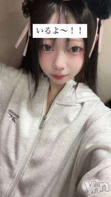 ���ܥ��ʥå��������륺�С�Girl's Bar All-in(�����륤��)(�����륺�С������륤��) �椭��(22)��10��24���̥�֥������뵻:���뱣��������