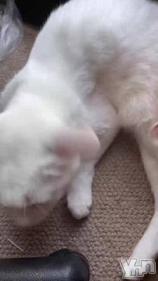 ���Ф������βȤ˹ԤäƤ�����