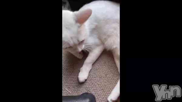 �֤��Ф������βȤ˹ԤäƤ�������