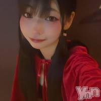 ���ܻԥ��ʥå��������륺�С� Girl's Bar All-in(�����륤��)(�����륺�С������륤��) �椭�ߤβ���(3����)