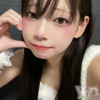 ���ܻԥ��ʥå��������륺�С� Girl's Bar All-in(�����륤��)(�����륺�С������륤��) �椭�ߤβ���(2����)