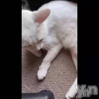 ���Ф������βȤ˹ԤäƤ�����