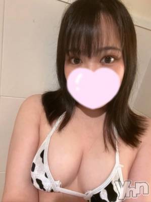 甲府デリヘル 山梨デリヘル　絆　甲府店(ヤマナシデリヘル　キズナ　コウフテン) しずく(22)の12月4日写メブログ「あそこ入ってないよね？？」