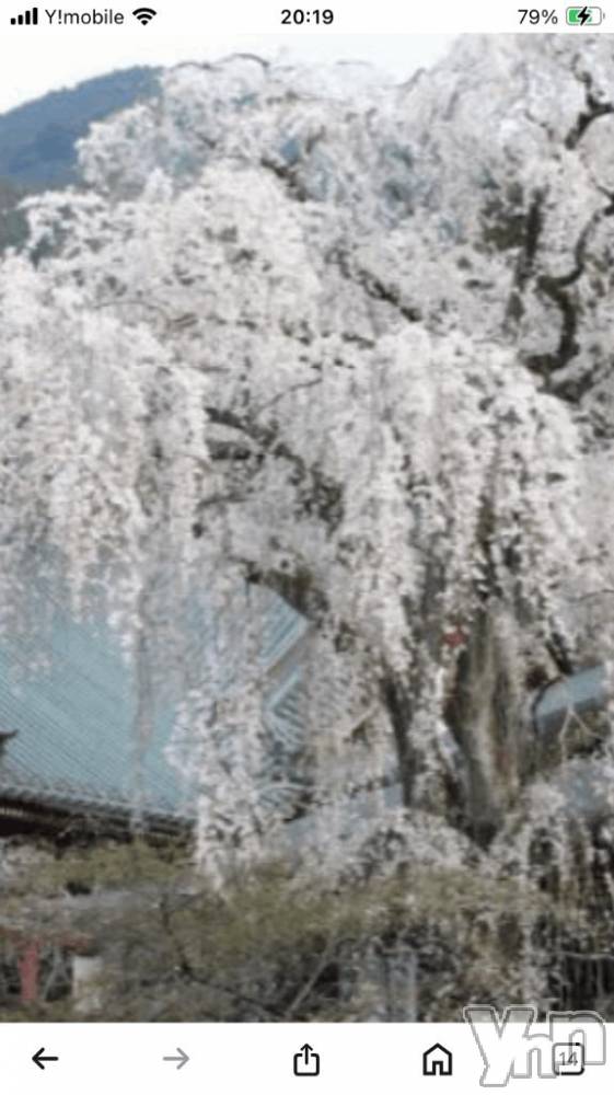 甲府デリヘル甲府人妻隊(コウフヒトヅマタイ) すばる(42)の3月28日写メブログ「こんばんは🌸」