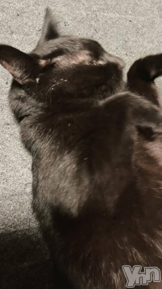 甲府デリヘル甲府人妻隊(コウフヒトヅマタイ) すばる(42)の8月10日写メブログ「昨日のお礼パート2」