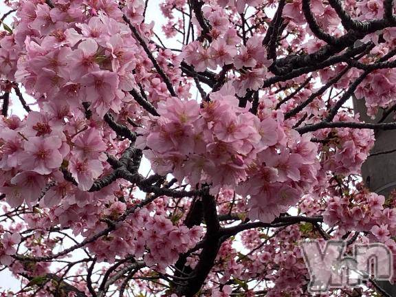 甲府デリヘル甲府人妻隊(コウフヒトヅマタイ) すばる(42)の3月14日写メブログ「今日もエロモード全開で出勤✨」