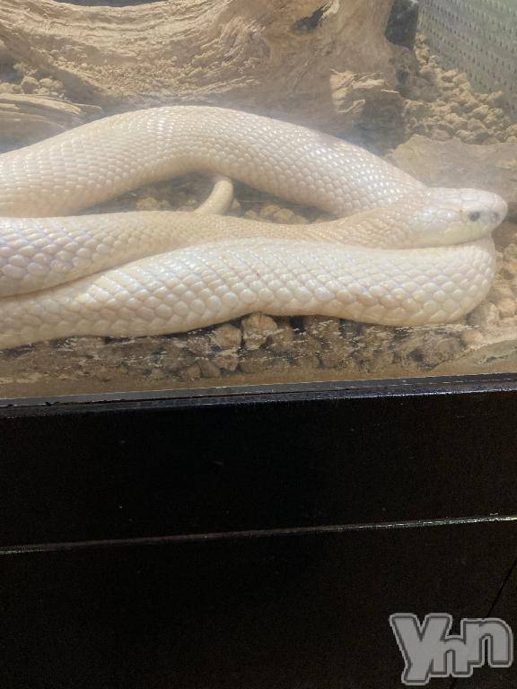 甲府デリヘル甲府人妻隊(コウフヒトヅマタイ)すばる(42)の2025年1月2日写メブログ「今年は何とし？」