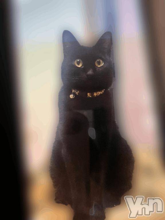 甲府デリヘル甲府人妻隊(コウフヒトヅマタイ)すばる(42)の2025年7月20日写メブログ「お礼の気持ち」