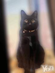 甲府デリヘル甲府人妻隊(コウフヒトヅマタイ) すばる(42)の7月20日写メブログ「お礼の気持ち」