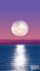 甲府デリヘル甲府人妻隊(コウフヒトヅマタイ) すばる(42)の12月29日写メブログ「ごめんなさい💦」