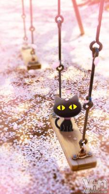 甲府デリヘル 甲府人妻隊(コウフヒトヅマタイ) すばる(42)の12月10日写メブログ「出勤しました。」